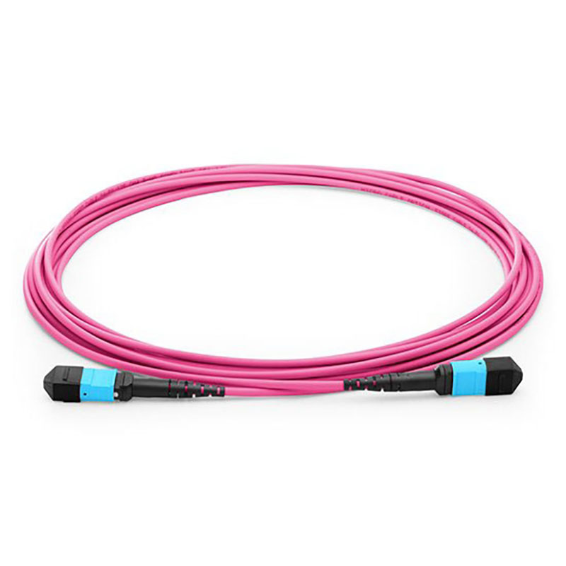 1M MPO OM4 50/125 Multimode Fiber Optic Trunk Cable, 12 Fiber, Type B, Female-Female, LSZH-Magenta
